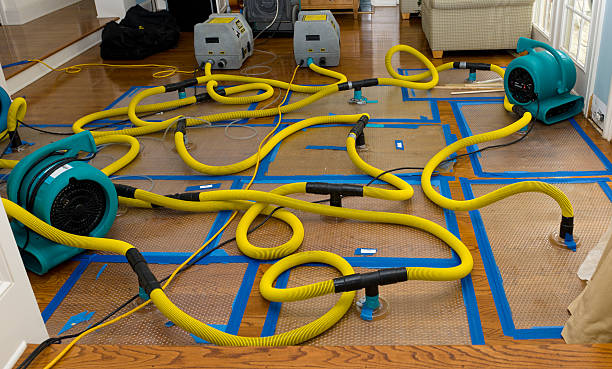 Professional Crawl Space Water Removal technician working in Riverhead, NY